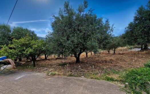 Graziosa Villetta a schiera Scopello
